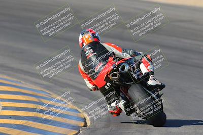 media/Nov-12-2023-SoCal Trackdays (Sun) [[5d1fba4e7d]]/Turn 10 Backside (115pm)/